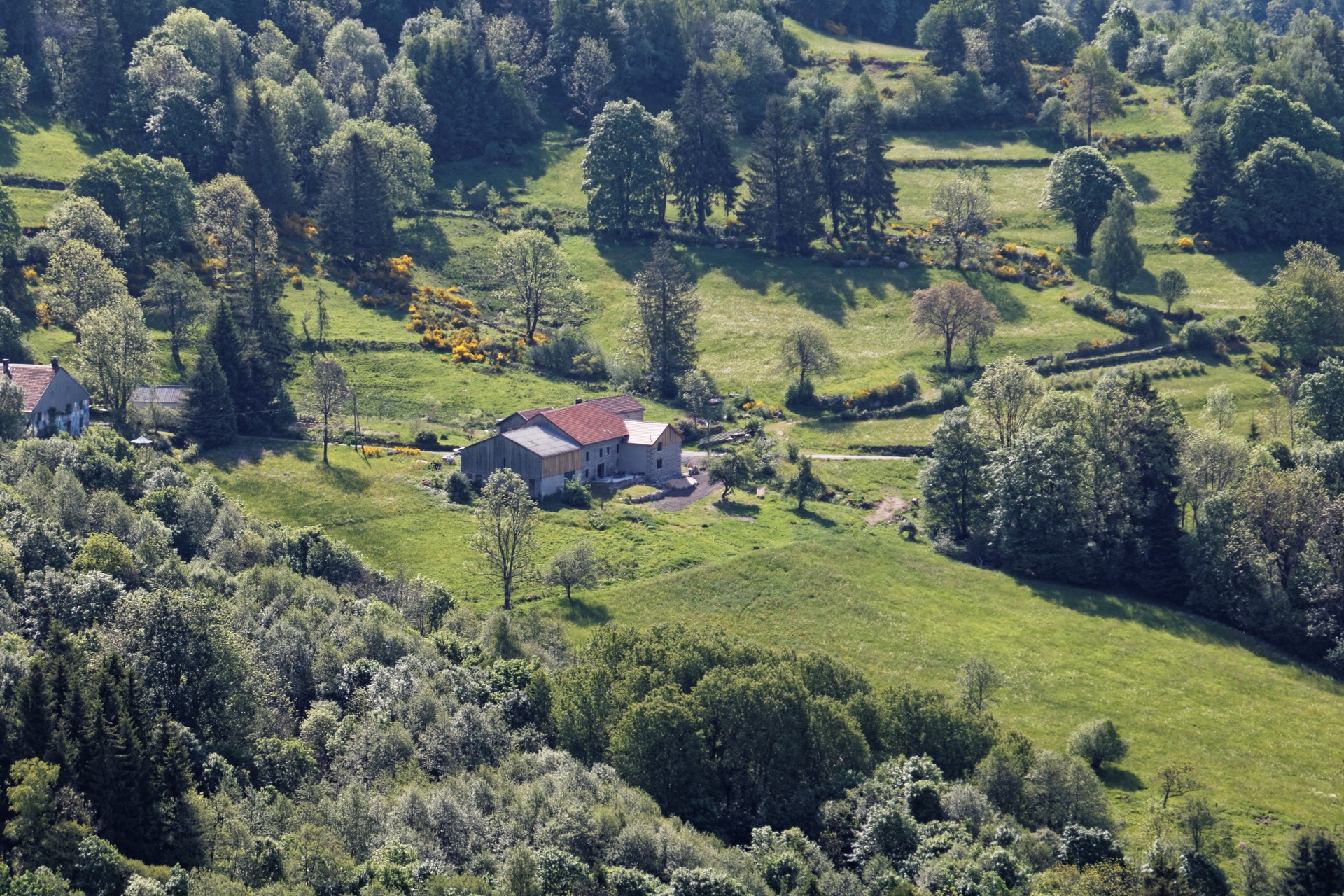 Paysage des Vosges
